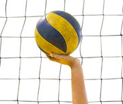 volleyball ag logo klein